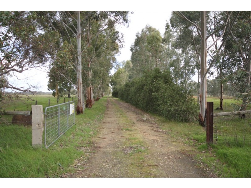 190 Haines Road, Baldivis WA 6171