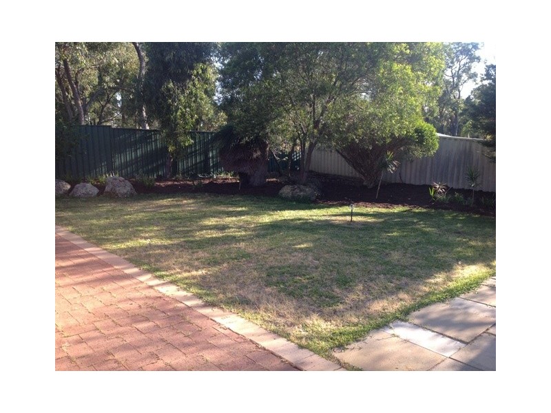 16 Paddington Court, Bibra Lake WA 6163