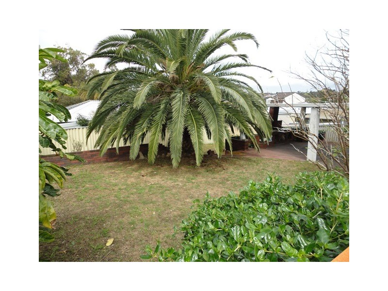 15 Gurney Road, Spearwood WA 6163