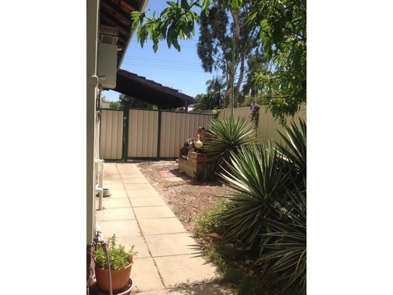 7 Holmes Place, Hilton WA 6163