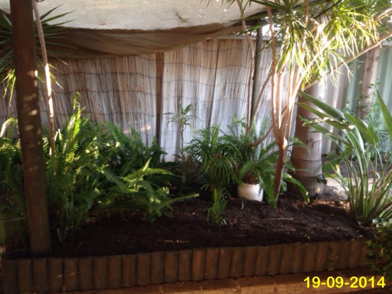 3 Lipton Mews, Atwell WA 6164