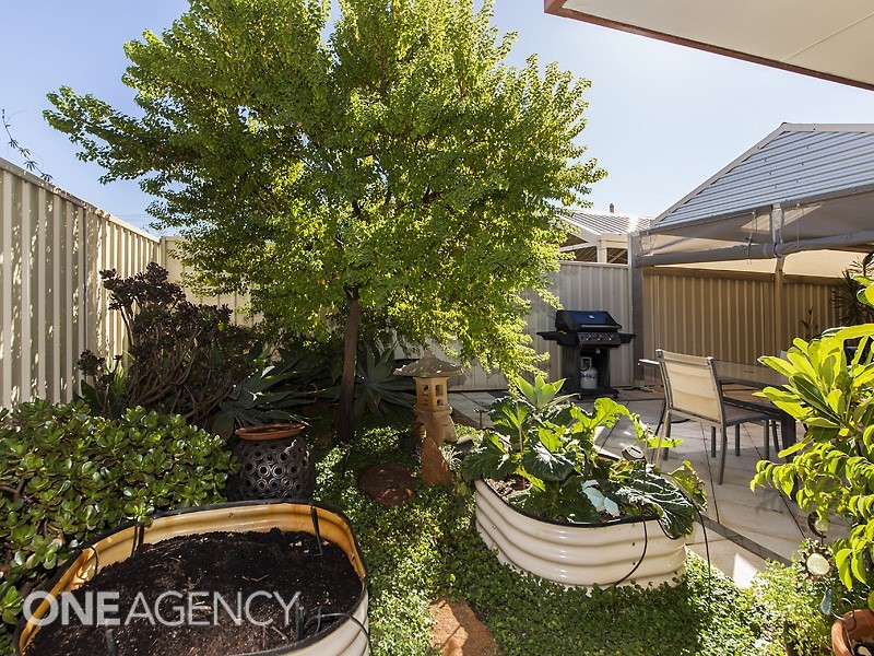 31 Rambures Way, Hamilton Hill WA 6163