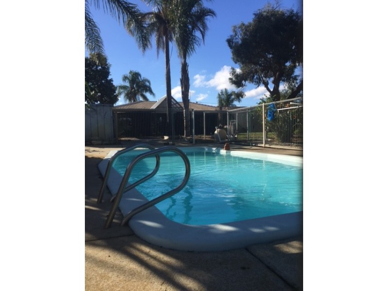 25 Scales Way, Spearwood WA 6163