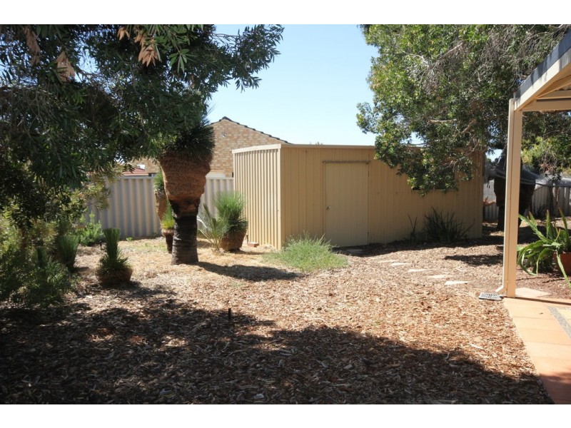 14 Gatineau Grove, Bibra Lake WA 6163