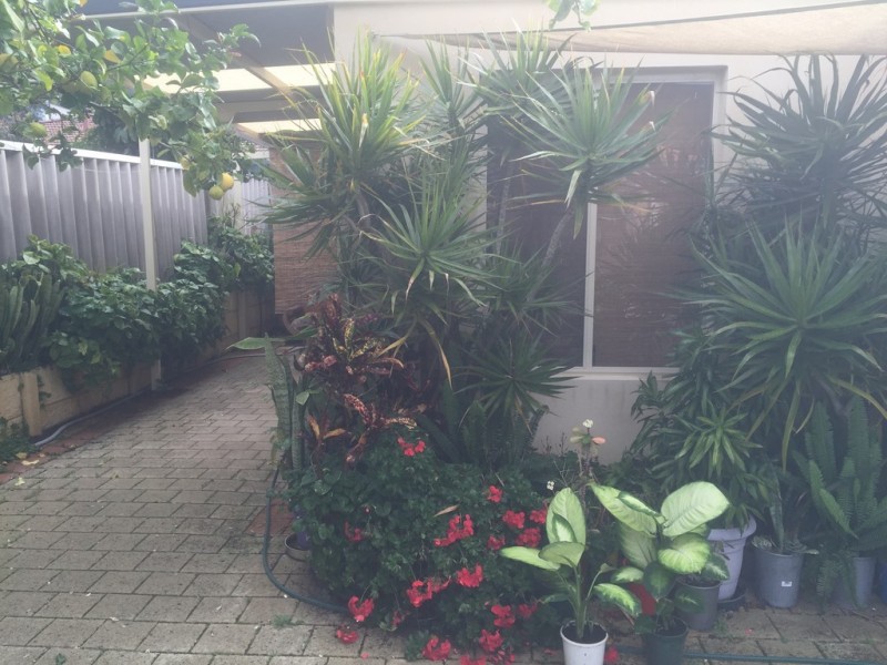 6/9 Point Walter Road, Bicton WA 6157