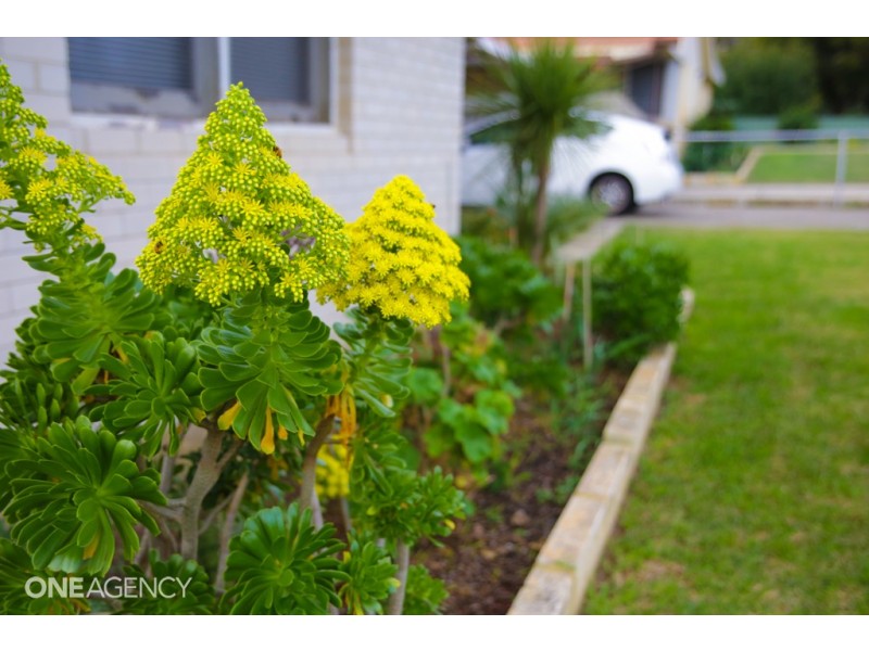 22 Williams Road, Coolbellup WA 6163