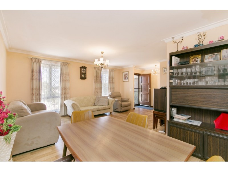 3 Leavis Place, Spearwood WA 6163