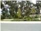 53 Wallaby Parade, Baldivis WA 6171