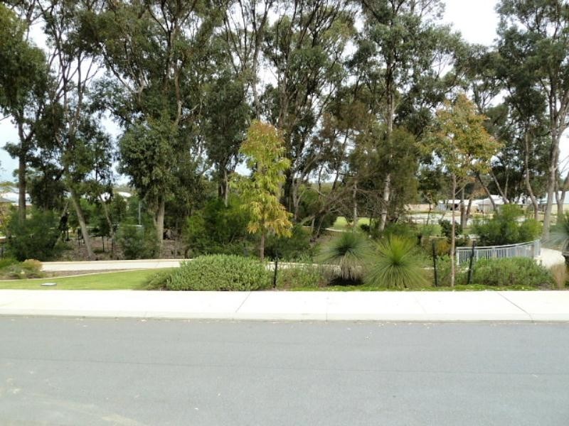 53 Wallaby Parade, Baldivis WA 6171