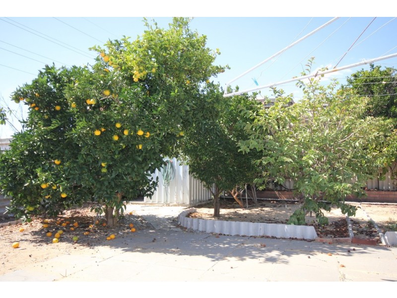 4 Campion Close, Spearwood WA 6163