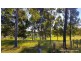 44 Stockdale Crescent, Abbotsbury NSW 2176