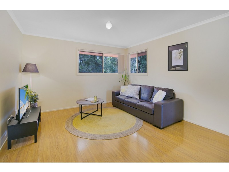 93 Hilliards Park Drive, Wellington Point QLD 4160