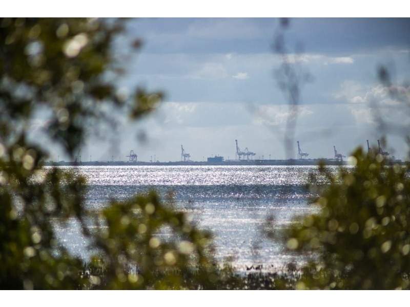 17 Bath Street, Birkdale QLD 4159