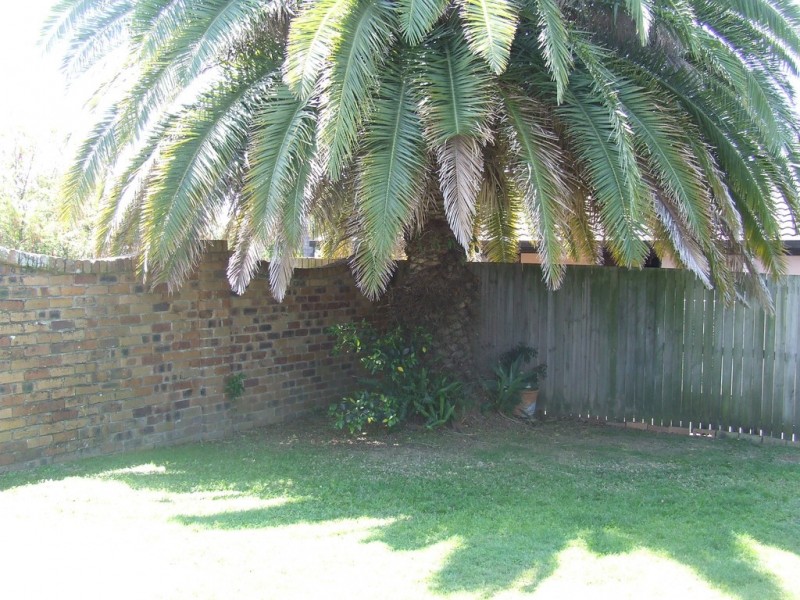 8 Rosedale Court, Wellington Point QLD 4160