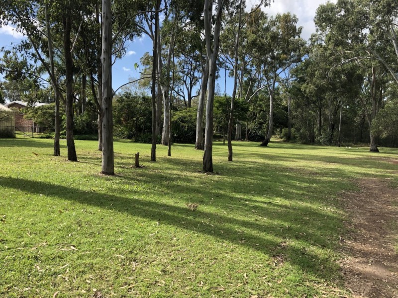 31 Charles Canty Drive, Wellington Point QLD 4160