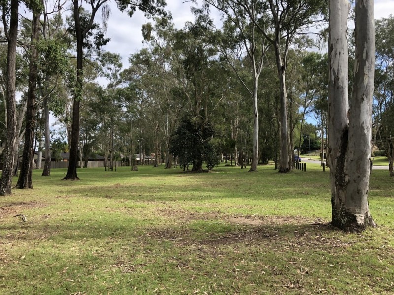 31 Charles Canty Drive, Wellington Point QLD 4160