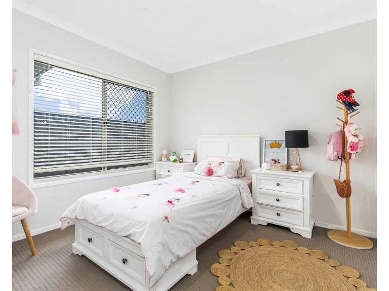 6 Plumer Street, Wellington Point QLD 4160