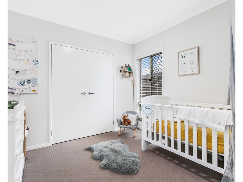 6 Plumer Street, Wellington Point QLD 4160