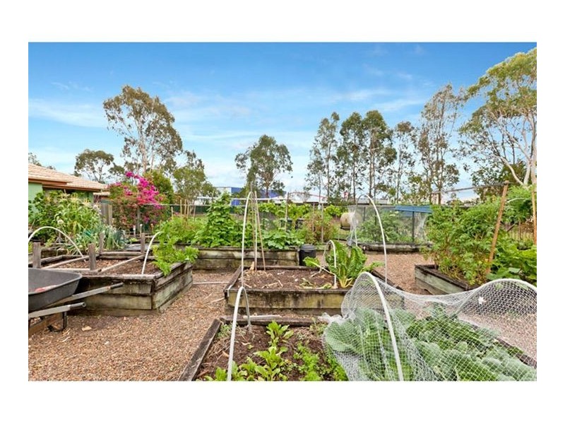 33/12 Tauris Road, Capalaba QLD 4157