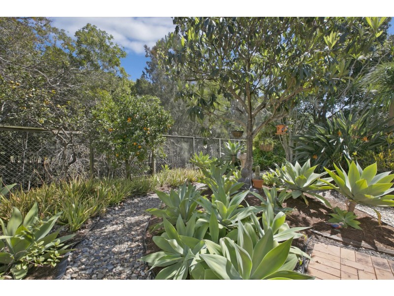 64 Allan Day Drive, Wellington Point QLD 4160