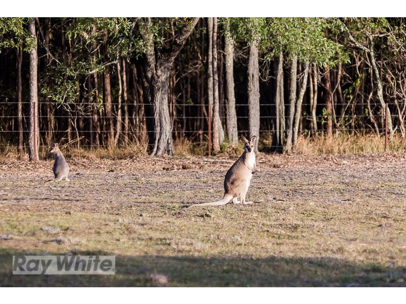 Cornubia QLD 4130
