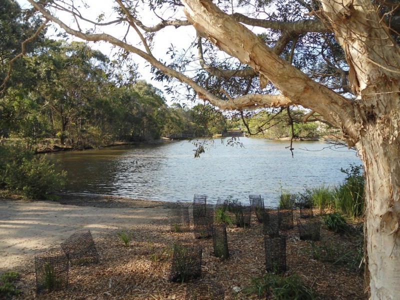 39 Riesling Street, Thornlands QLD 4164