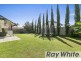 19 Cronin Drive, Wellington Point QLD 4160