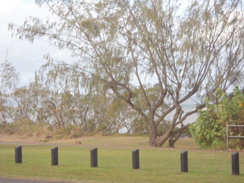 33 Macadamia Street, Victoria Point QLD 4165