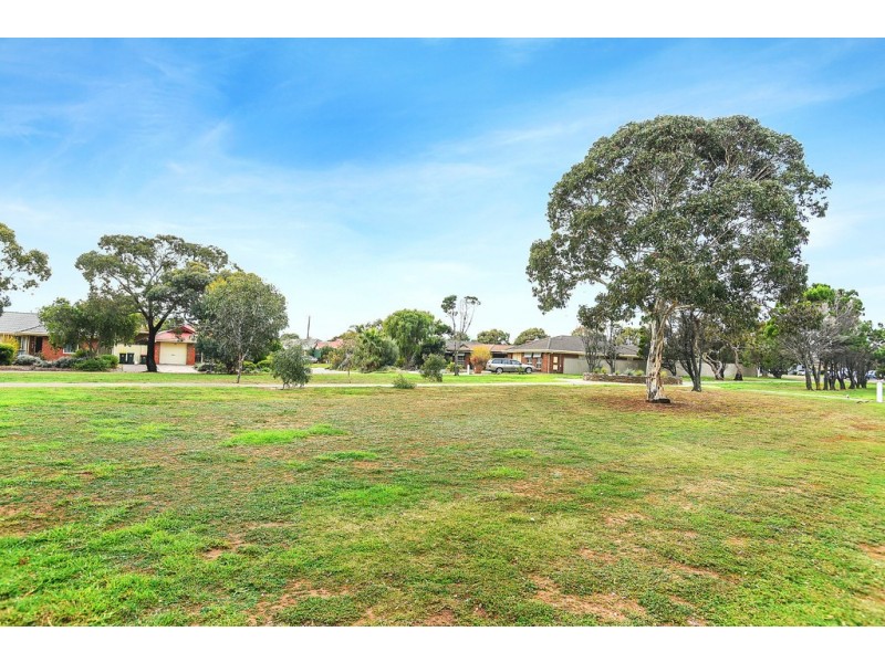 6 Birch Avenue, Seaford SA 5169