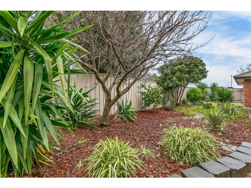 29 Whitney Crescent, Seaford SA 5169