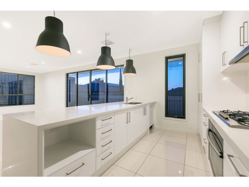 19 Daintree Drive, Seaford Rise SA 5169