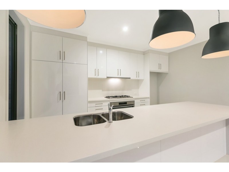 19 Daintree Drive, Seaford Rise SA 5169