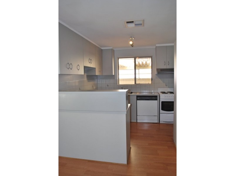 7 Cohen Court, Clovelly Park SA 5042