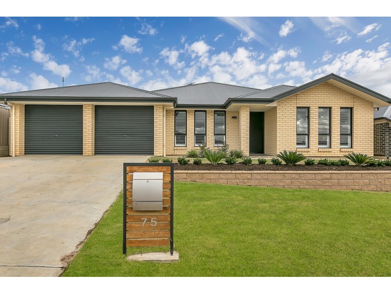 75 Beachport Road, Seaford Rise SA 5169