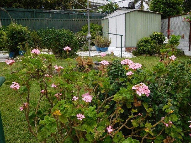 29 Bardon Esplanade, Bardon QLD 4065