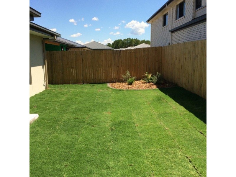 50 Waterbird Crescent, Caboolture QLD 4510