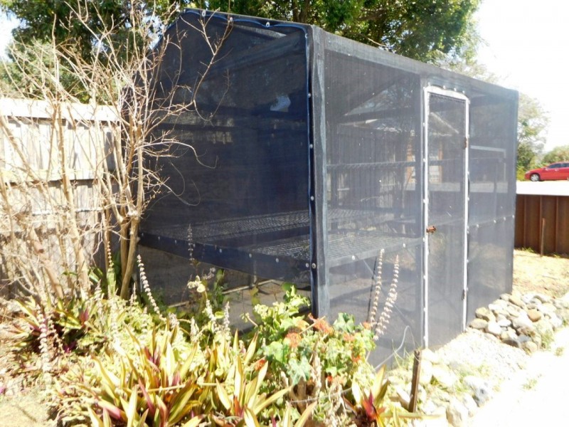 47 David Street, Nundah QLD 4012