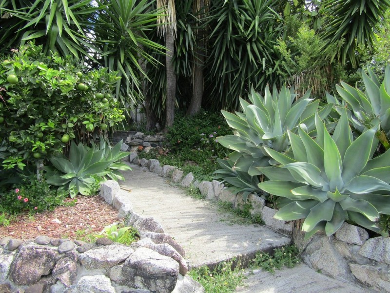 51 Paramount Terrace, Seven Hills QLD 4170