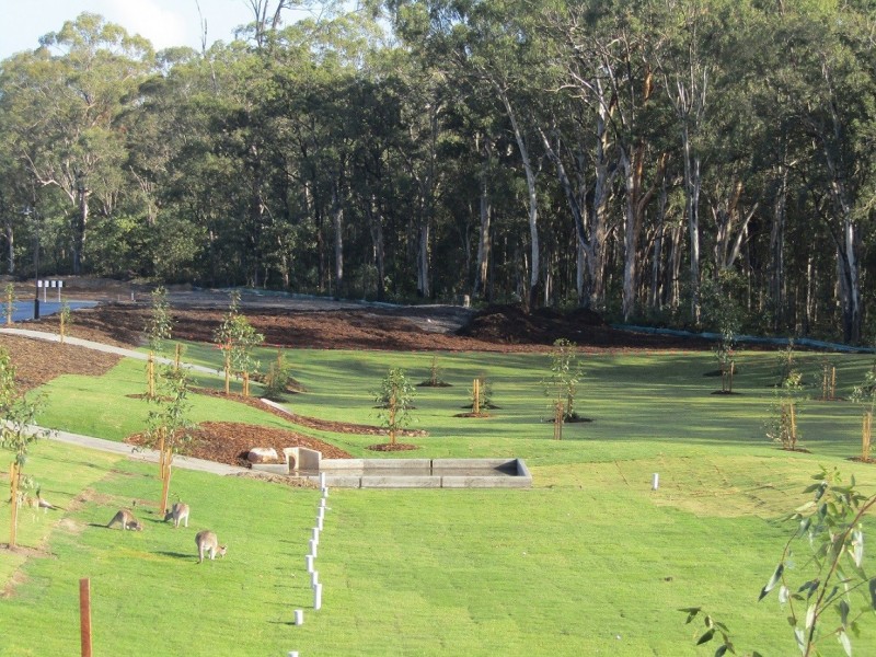 60 Colville Street, Greenbank QLD 4124