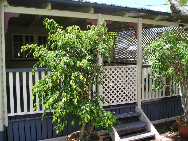 18 Headfort Street, Greenslopes QLD 4120