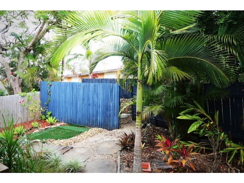 31 Norm Street, Kenmore QLD 4069