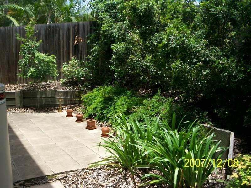3/41 Manson Parade, Yeronga QLD 4104