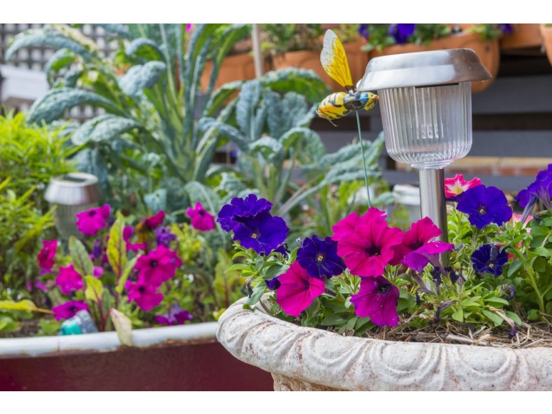 21 Waterloo Esplanade, Wynnum QLD 4178