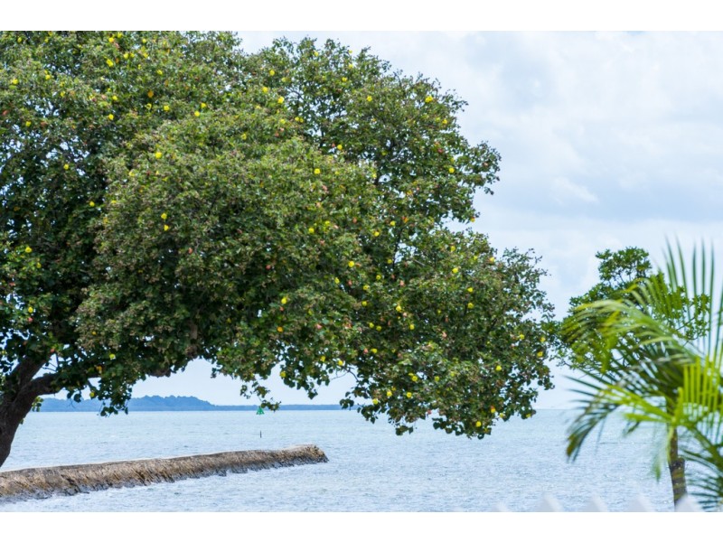 21 Waterloo Esplanade, Wynnum QLD 4178