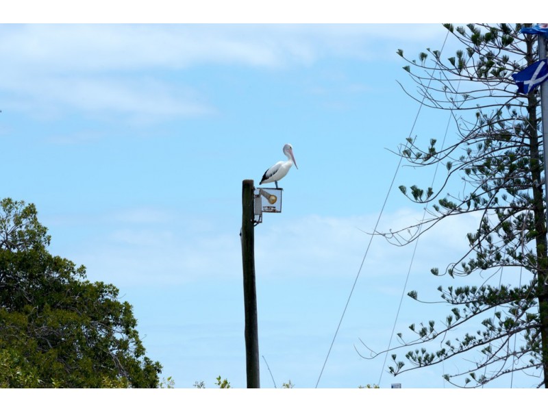 21 Waterloo Esplanade, Wynnum QLD 4178