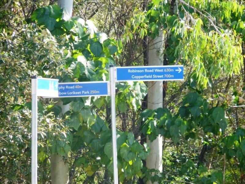 3 Orville Street, Geebung QLD 4034