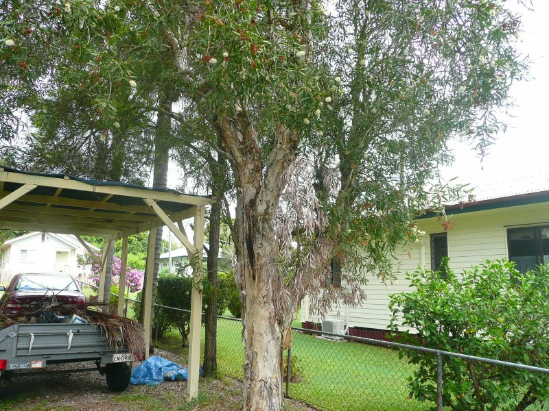 61 Finlayson Street, Acacia Ridge QLD 4110