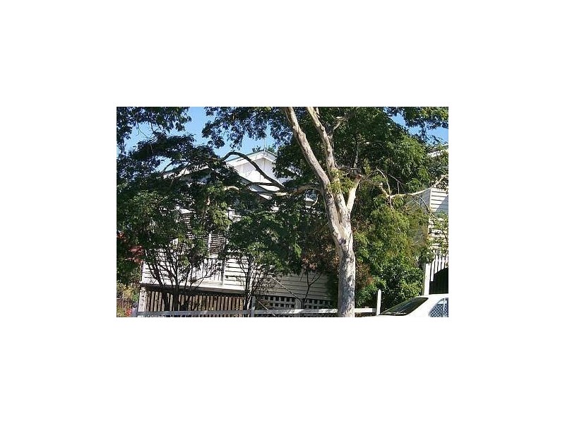 17 Waterton Street, Annerley QLD 4103