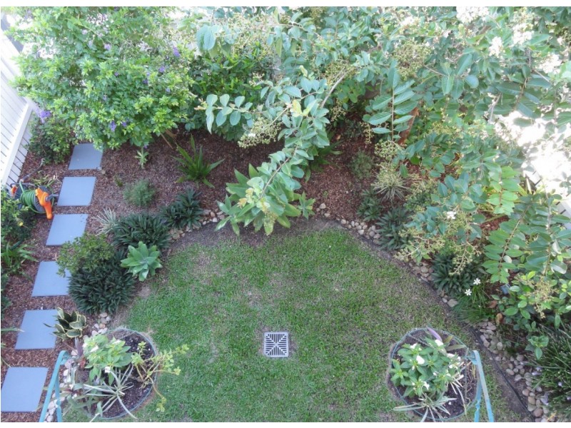 5/43 Brown Street, Camp Hill QLD 4152