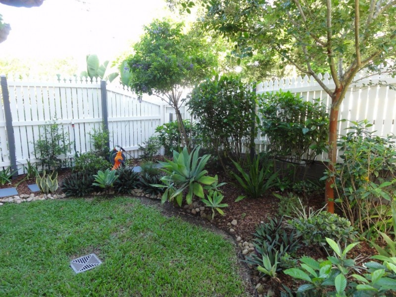 5/43 Brown Street, Camp Hill QLD 4152